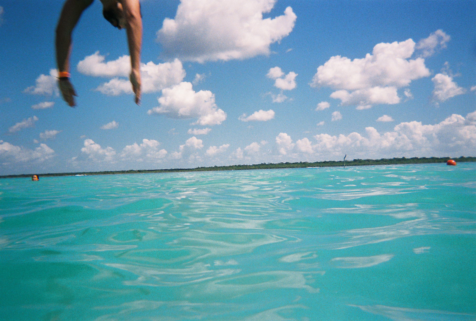 bacalar